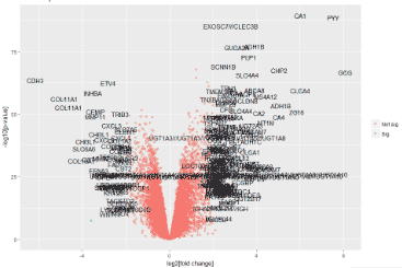 Visualization using R